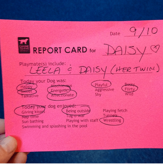 Screen Shot 2013-12-31 at 9.03.25 AM